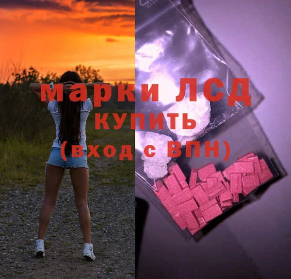 ПСИЛОЦИБИНОВЫЕ ГРИБЫ Алексин