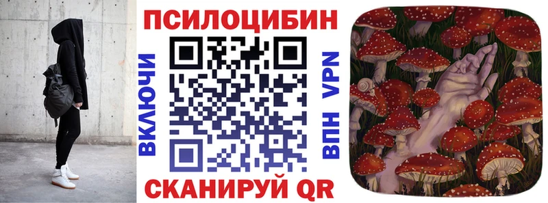 где продают наркотики Дубовка Псилоцибиновые грибы мухоморы